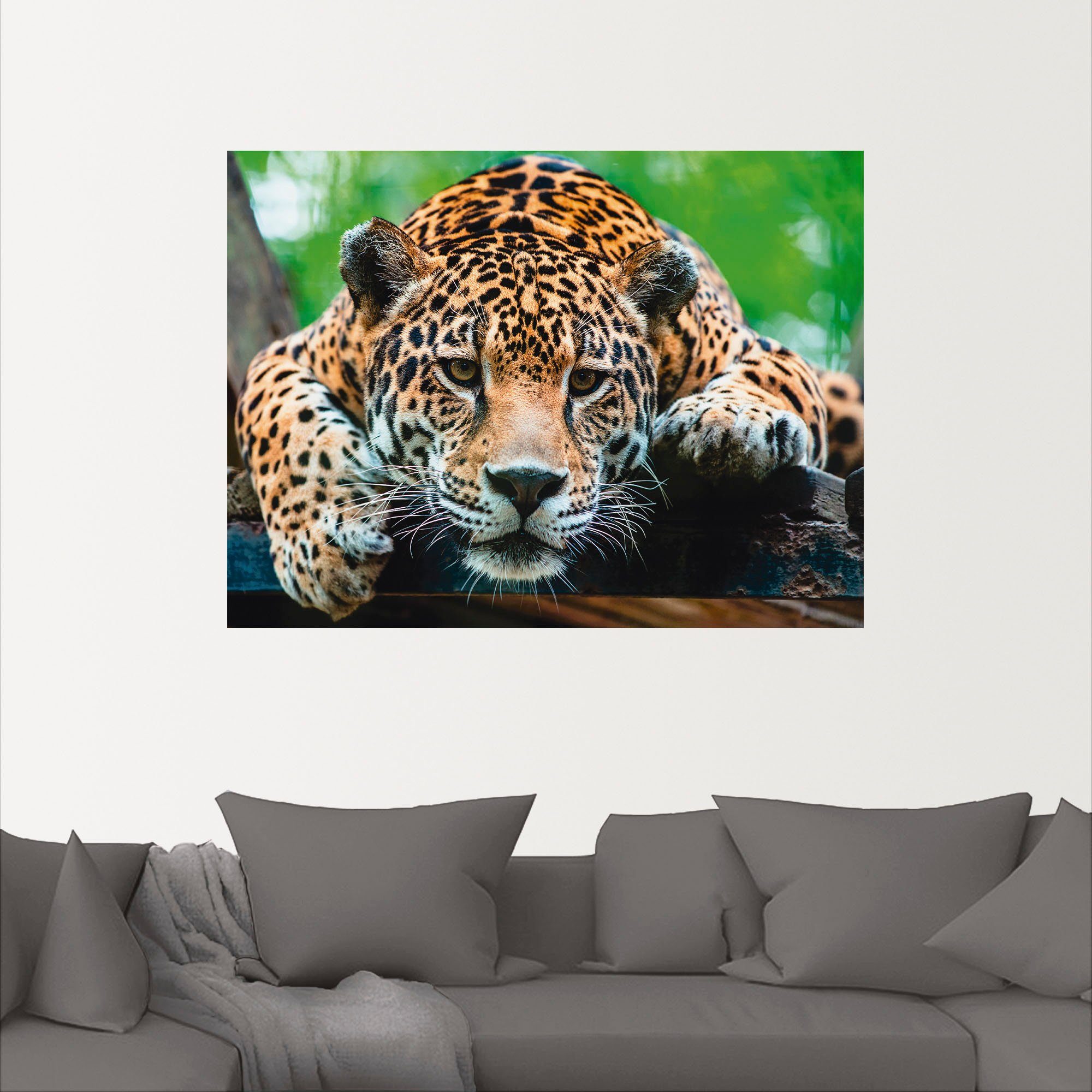 Südamerikanischer als Wandbild Wandaufkleber oder Artland in Wildtiere Leinwandbild, Größen Alubild, versch. Jaguar, (1 St), Poster