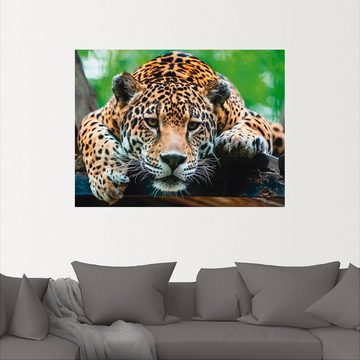 Artland Wandbild Südamerikanischer Jaguar, Wildtiere (1 St), als Alubild, Outdoorbild, Leinwandbild, Poster, Wandaufkleber