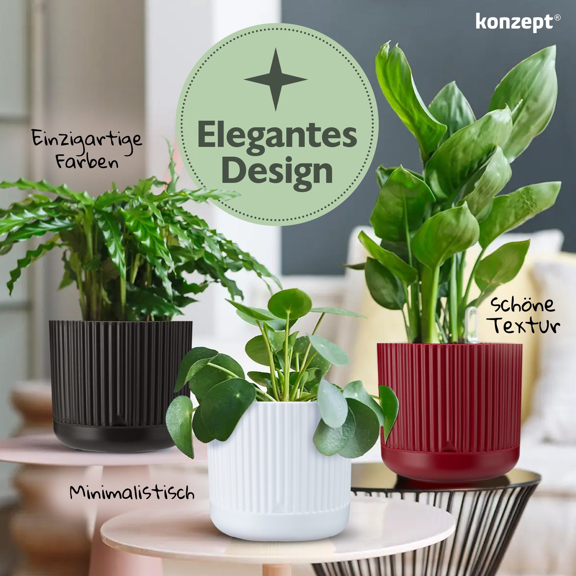 KONZEPT Blumentopf mit Untersetzer, 16 cm günstig online kaufen