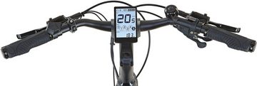 Prophete E-Bike Entdecker 5.0, 10 Gang Shimano Deore Schaltwerk, Kettenschaltung, Mittelmotor, 630 Wh Akku, Pedelec, Elektrofahrrad für Herren, Trekkingrad