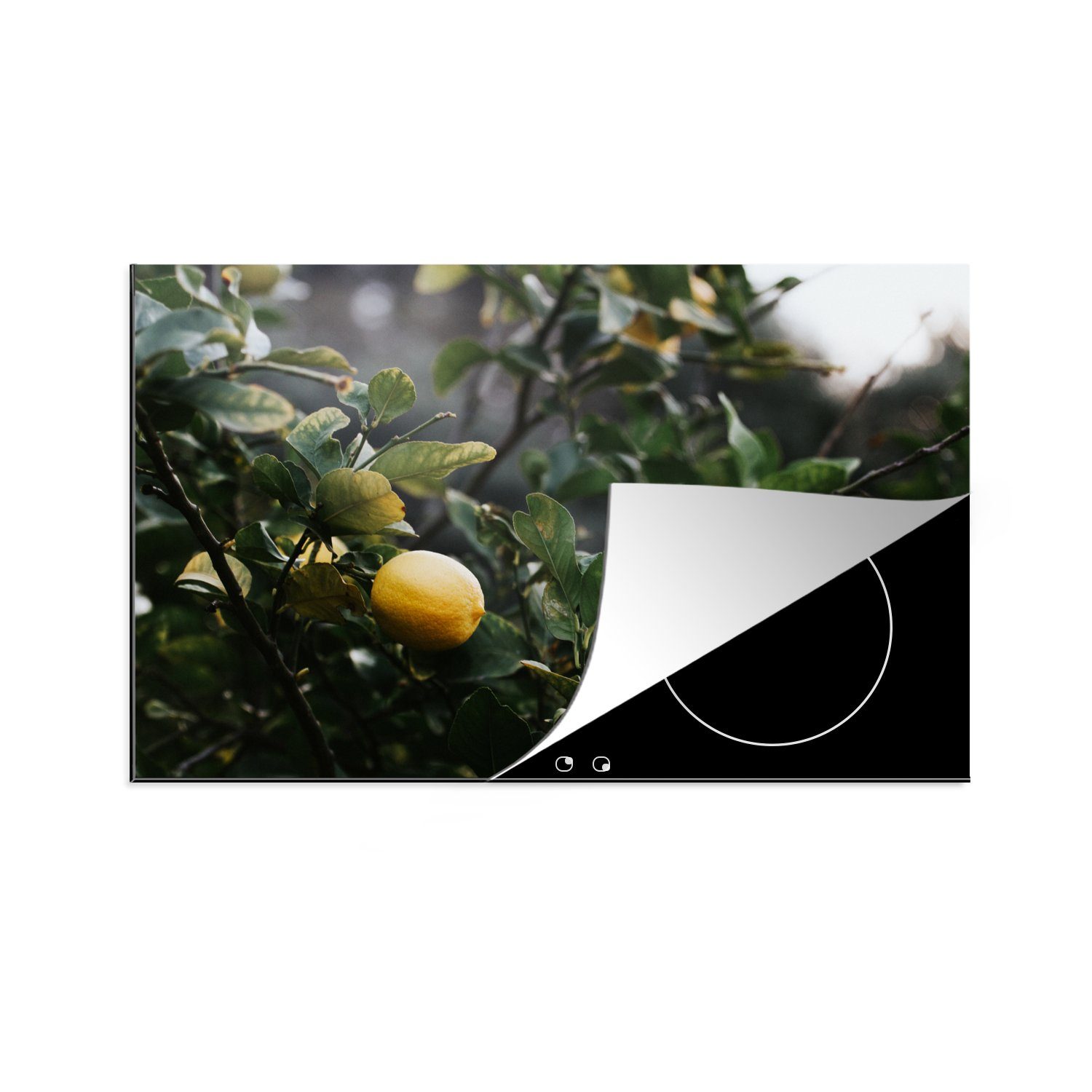 MuchoWow Herdblende-/Abdeckplatte Zitronenbaum, Vinyl, (1 81x52 tlg), für küche, Schutz cm, Ceranfeldabdeckung die Induktionskochfeld