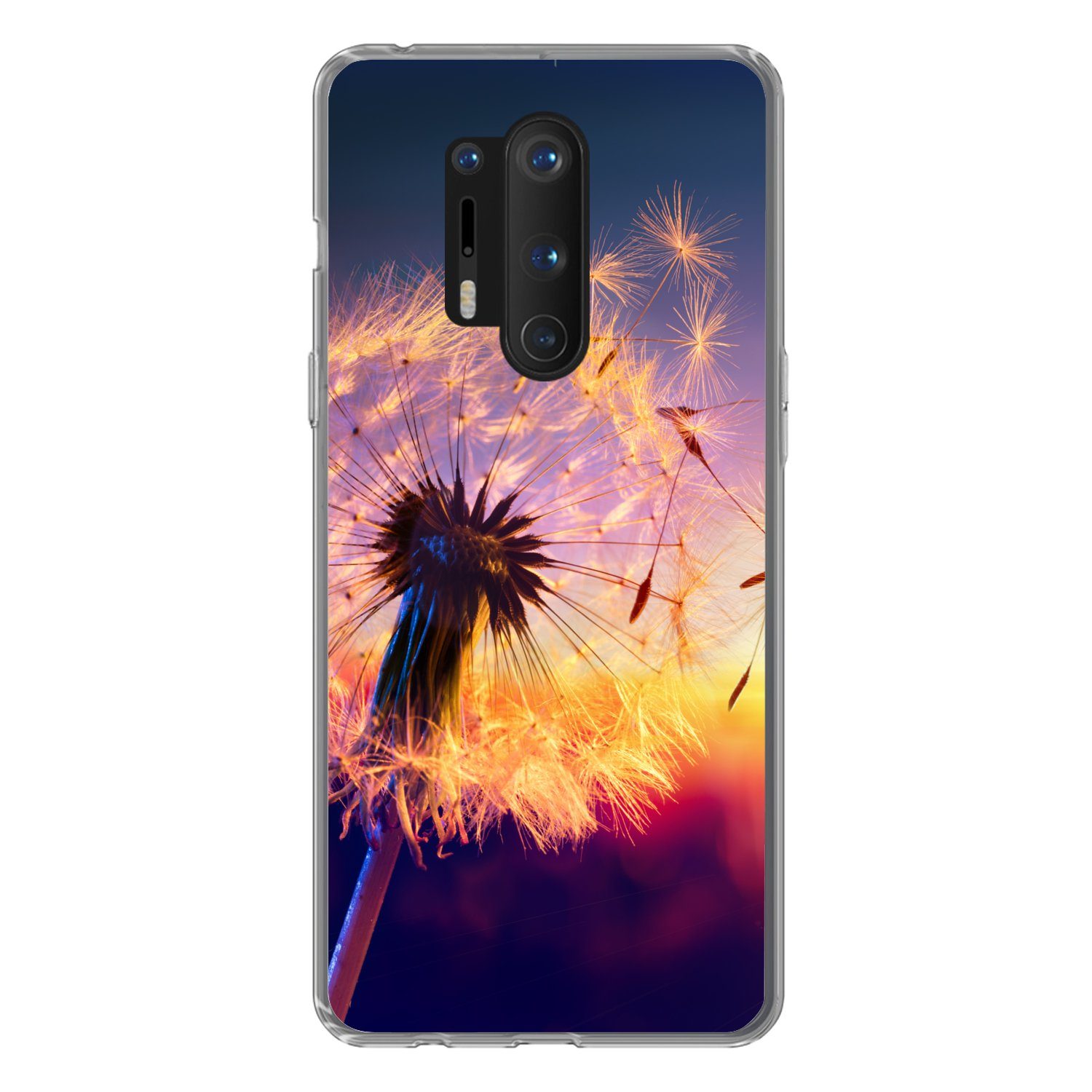MuchoWow Handyhülle für OnePlus 8 Pro Löwenzahn - Blumen - Sonnenuntergang - Horizont - Na, Phone Case, Silikon, Schutzhülle Dünn