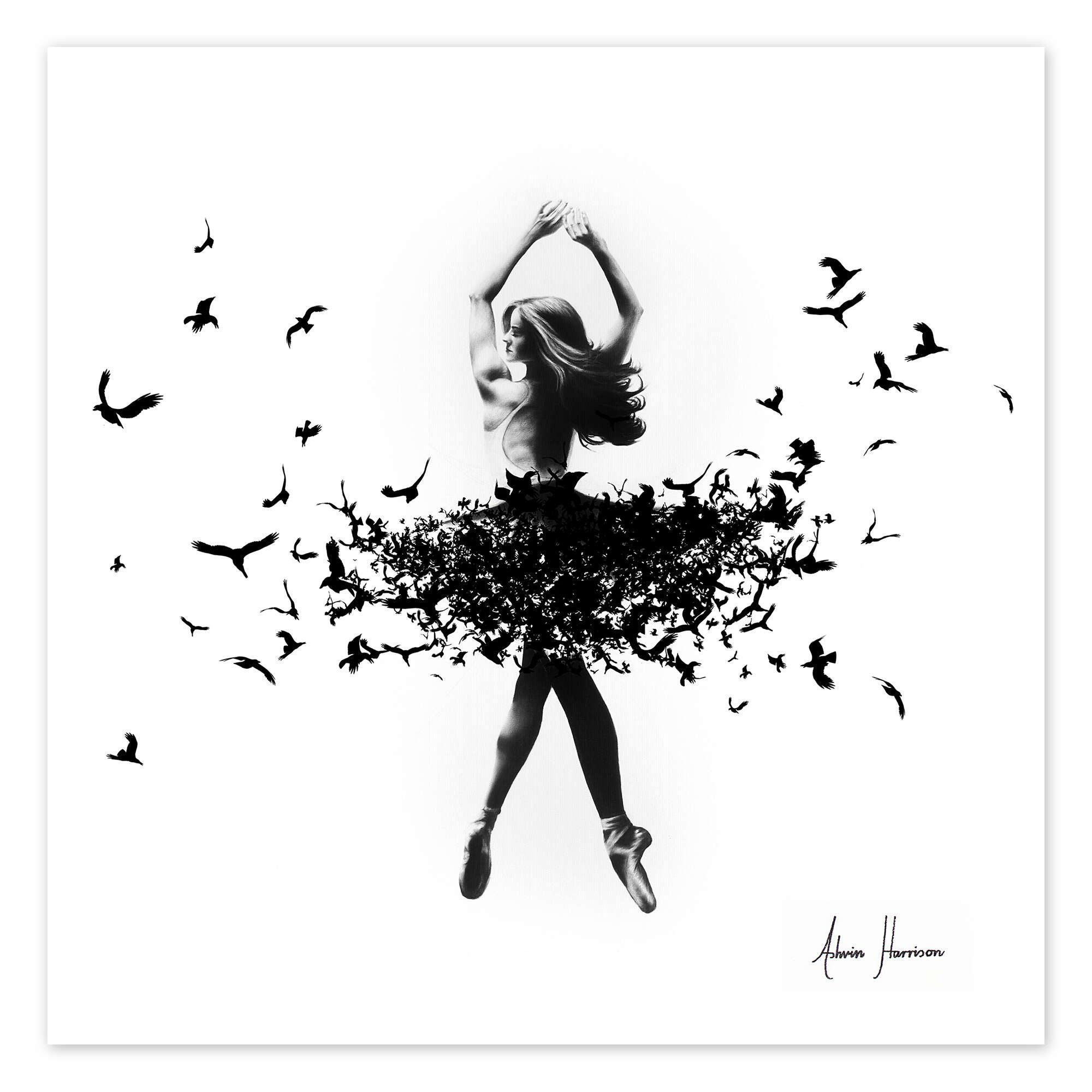 Poster Ashvin Harrison
