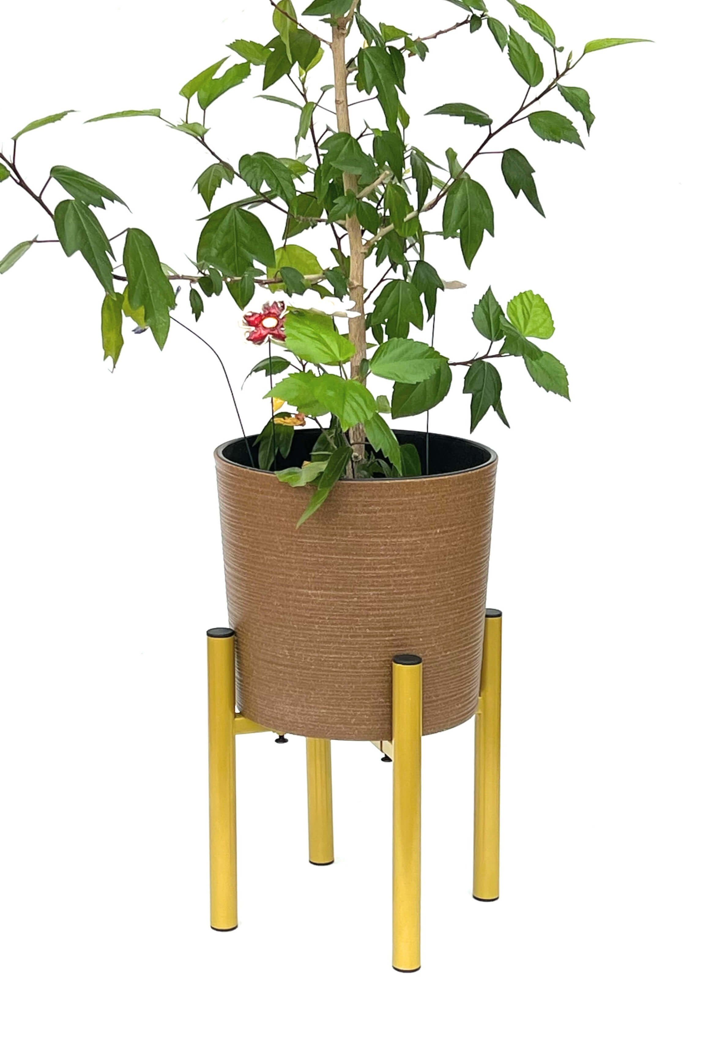 DanDiBo cm Blumenhocker Modern 30 Metall Gold Blumenständer Blumenständer Verstellbar