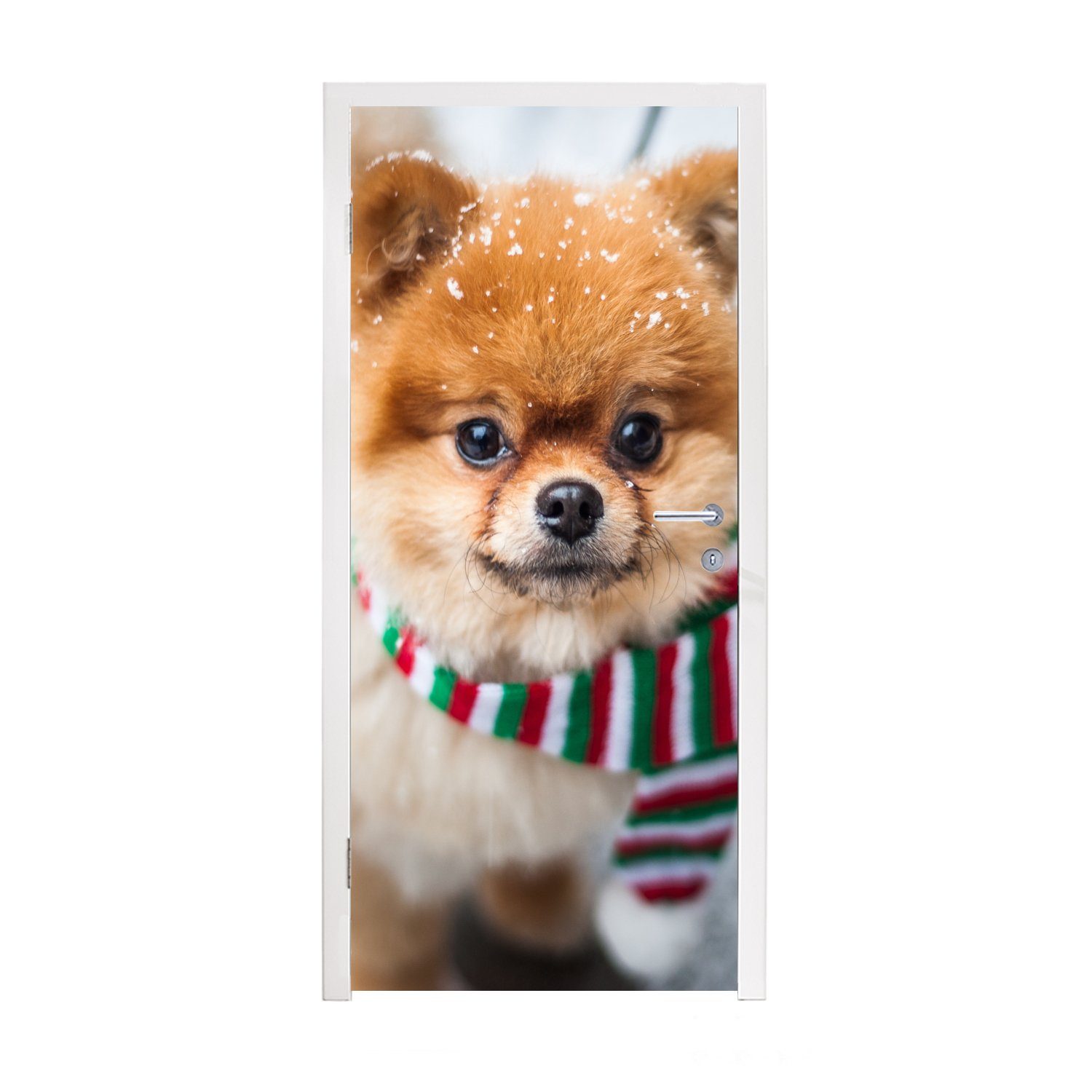 MuchoWow Türtapete Hund - Halstuch - Schnee, Matt, bedruckt, (1 St), Fototapete für Tür, Türaufkleber, 75x205 cm