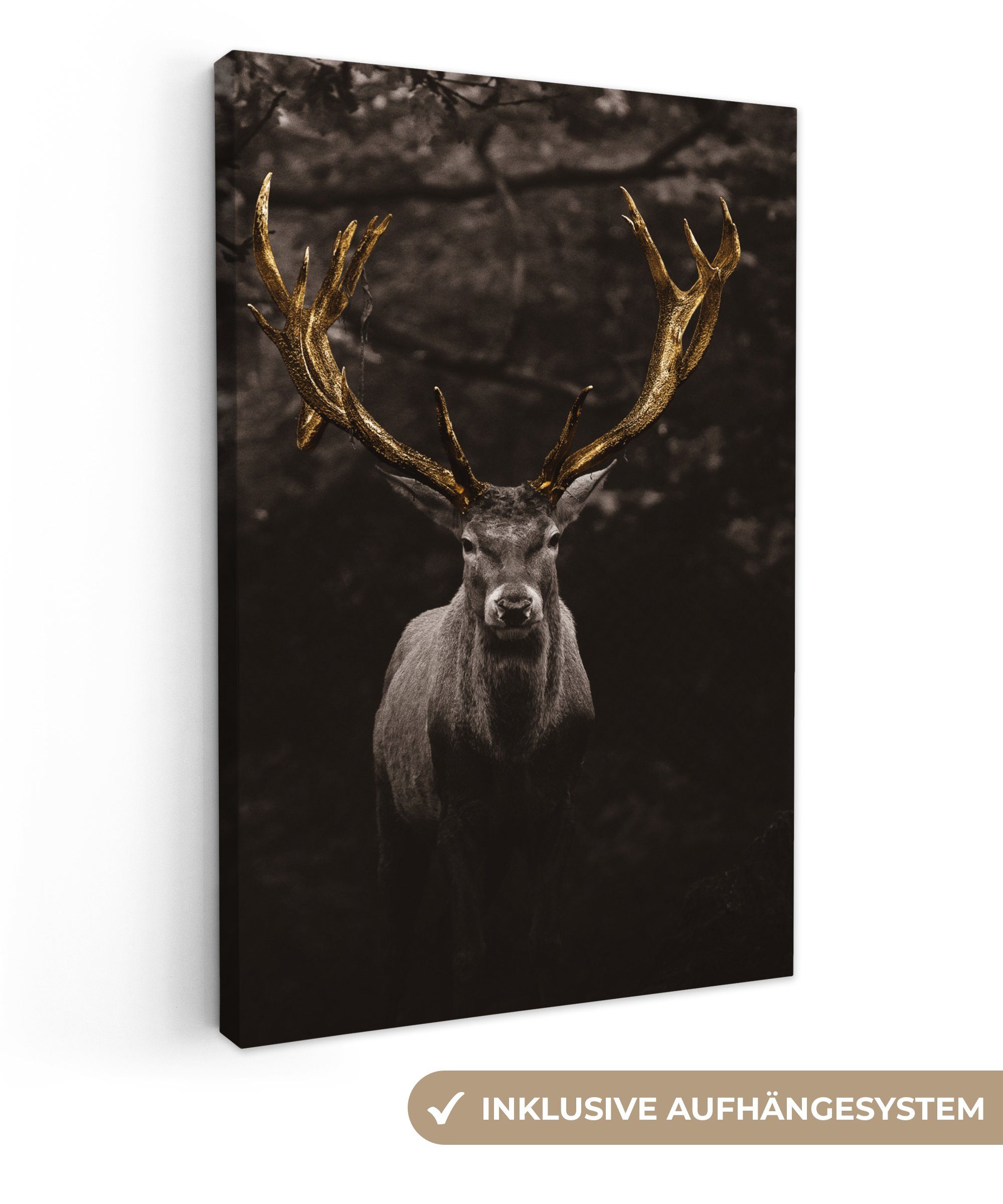 OneMillionCanvasses® Leinwandbild Hirschgeweih gold, Fotodruck (1 günstig online kaufen