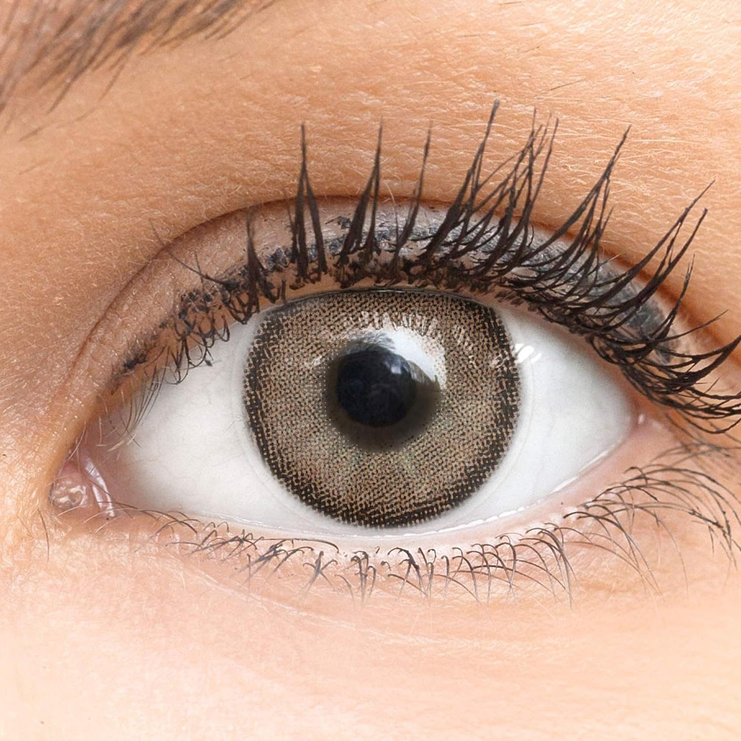 GLAMLENS Monatslinsen Sehr stark deckende und natürliche braune Kontaktlinsen "Bella Brown"