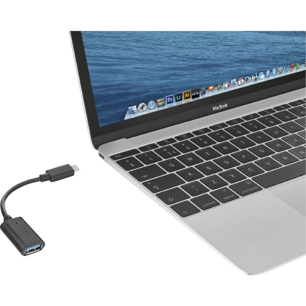 Trust Trust USB 2.0 Adapter [1x USB-C® Stecker - 1x USB 3.2 Gen 1 Buchse B (USB-Adapter, 9.00 cm