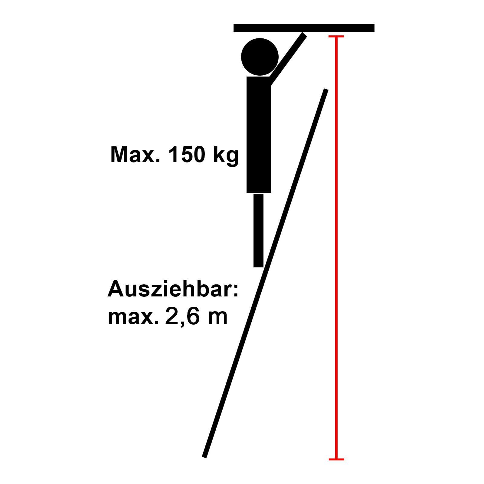 Meter DIN 2,6 cm rutschfeste zusammenklappbar EAXUS EN Ausfahrbare Leiter Sprossen, 76 131 Teleskopleiter 9 Mehrzweckleiter, auf Aluminium