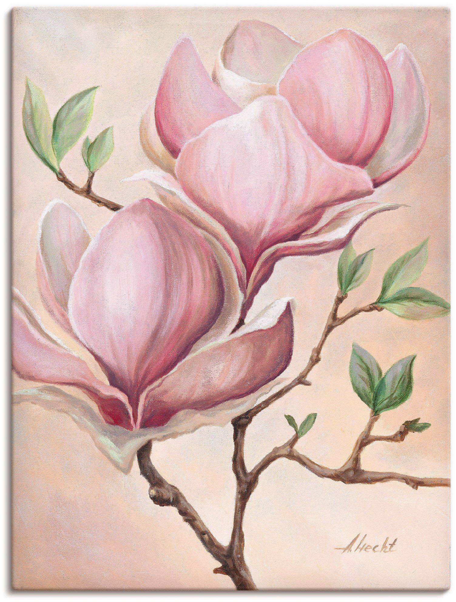 Artland Wandbild Magnolienblüten, Blumen (1 St), als Leinwandbild, Poster in verschied. Größen