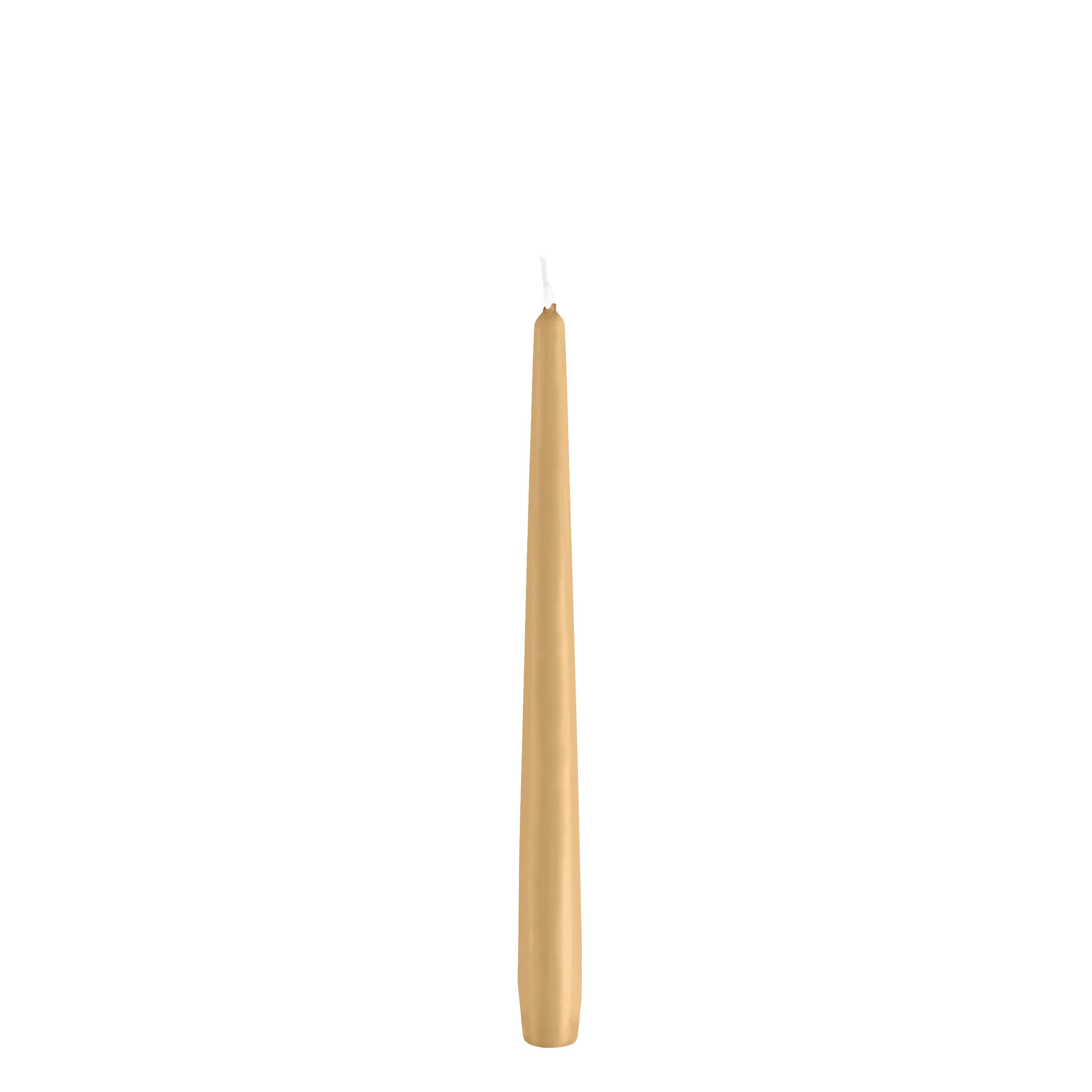 Spitzkerze Spitzkerzen Beige 290 x Ø 23 mm, 12 Stück