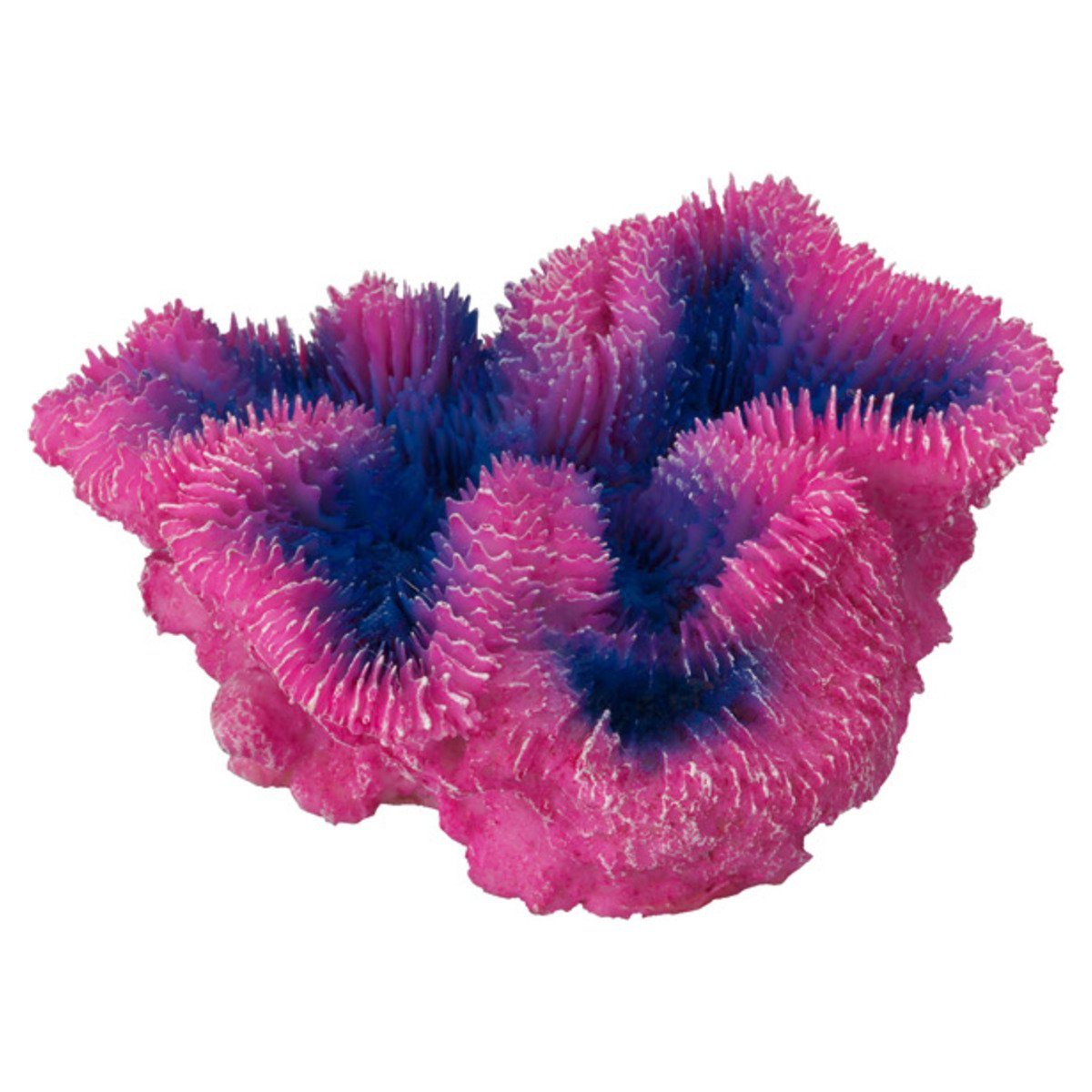 Aquariendeko Aquariumdekoration Koralle Symphyllia violett