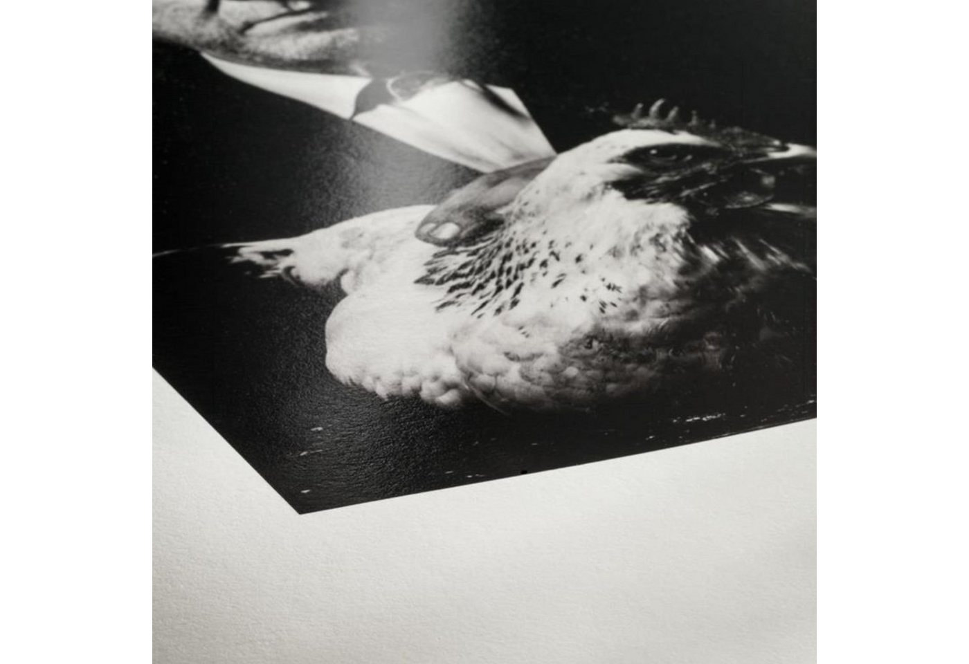 Thumbnail - Hahnemühle Fotopapier Photo Rag® Baryta FineArt Inkjet-Papier - 315 g/m² - DIN A3 - 25 Blatt