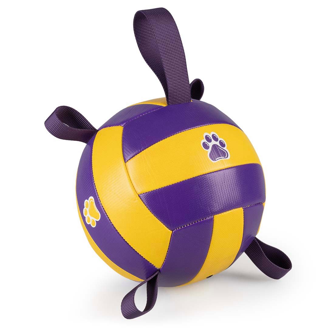 DUVO+ Tierball Duvoplus Volleyball mit Pumpe