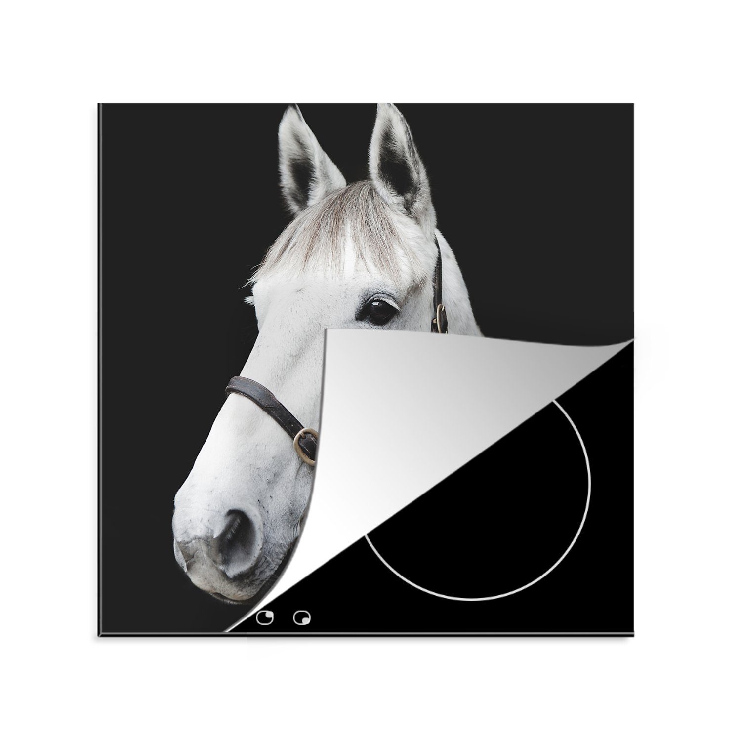 MuchoWow Herdblende-/Abdeckplatte Pferd - Halfter - Weiß, Vinyl, (1 tlg), 78x78 cm, Ceranfeldabdeckung, Arbeitsplatte für küche | Herdabdeckplatten