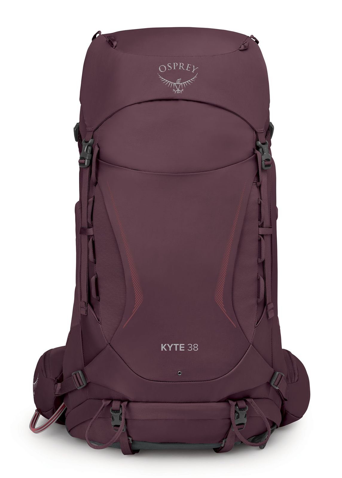 Elderberry Purple