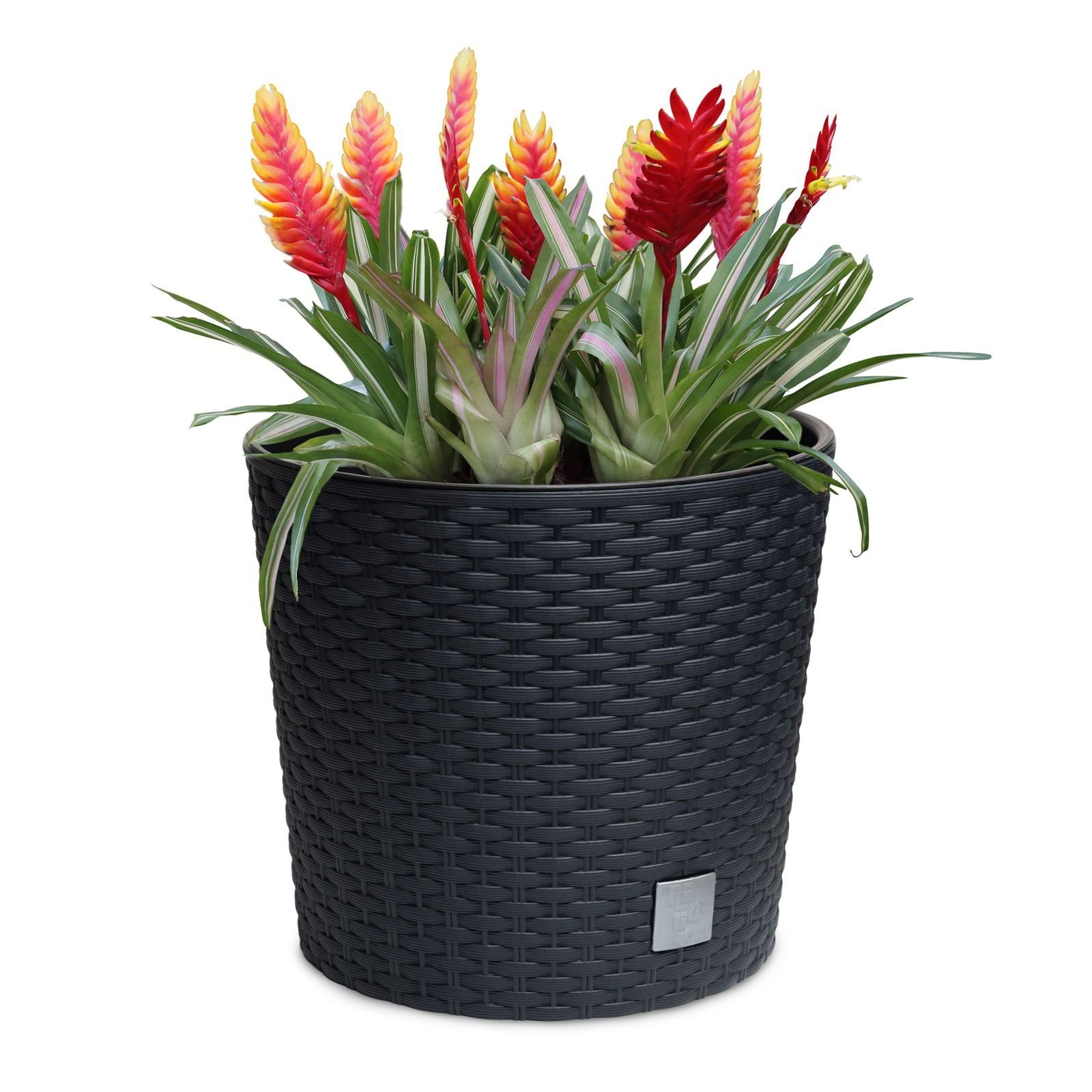 astor24 Blumentopf Blumentopf Rattan Blumenkübel Übertopf günstig online kaufen