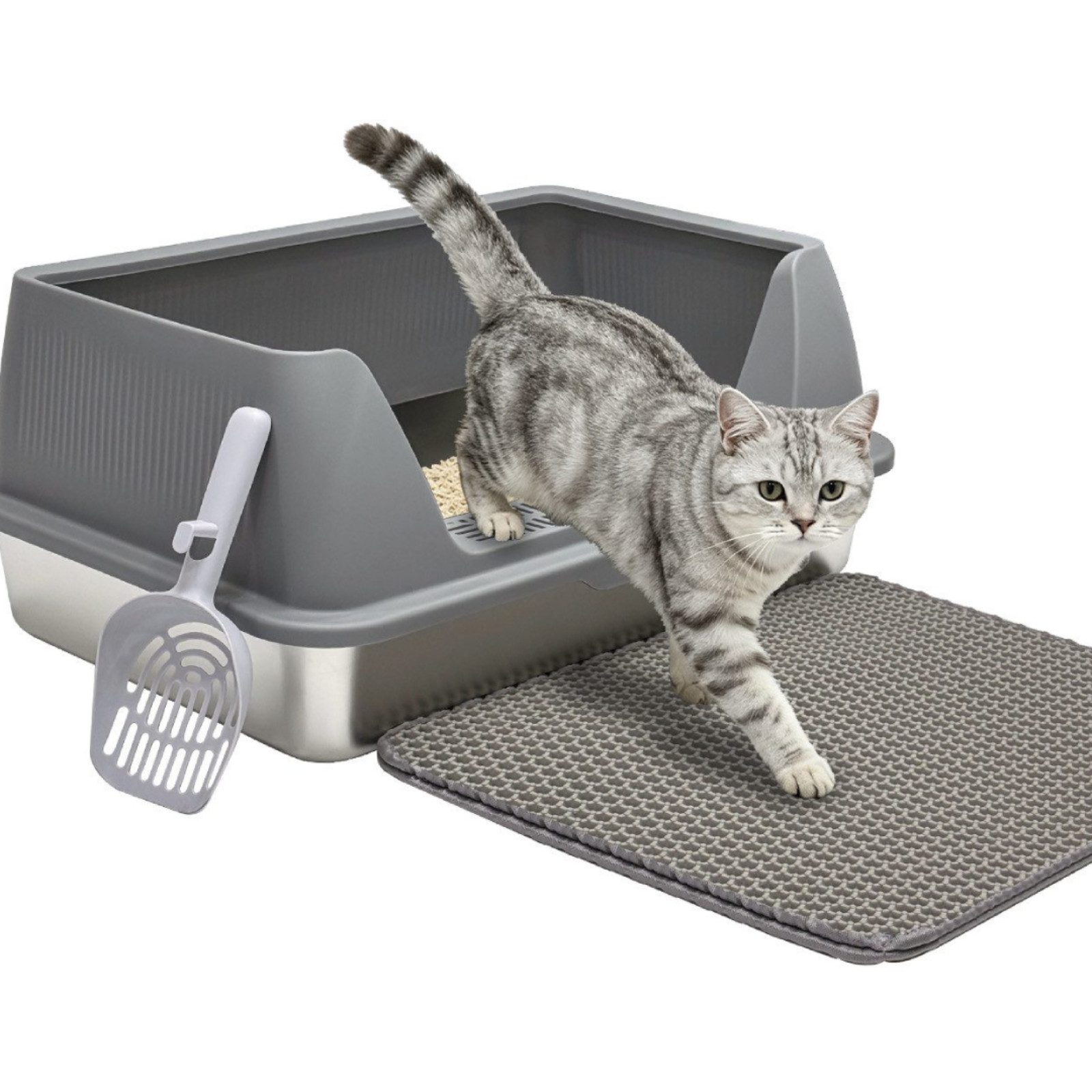 SunJas Katzentoilette Katzenklo Edelstahl 60 x 40 x 25 cm katzeklo offen Mit Katzenklo Matte, mit Katzenstreumatte und Schaufel,Nicht-Klebrig & Einfach zu Reinigen