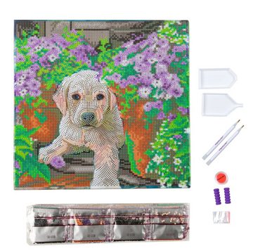 CRAFT Buddy Malvorlage Diamond Painting Crystal Art Kit, 30 cm x 30 cm