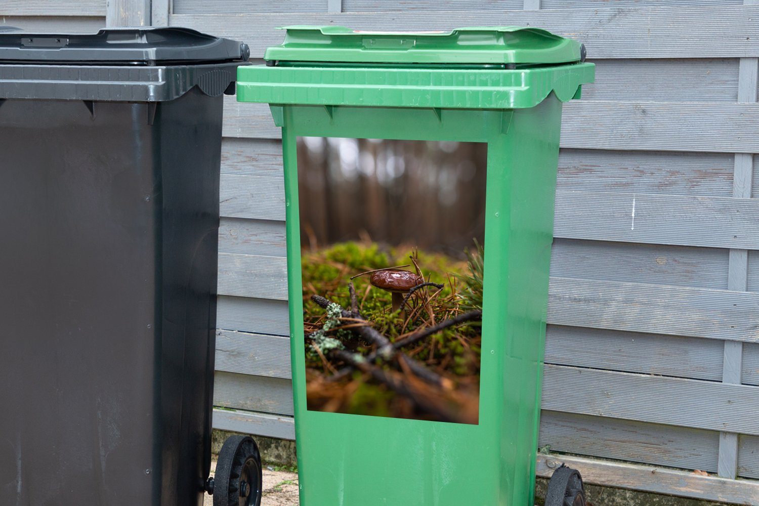MuchoWow Wandsticker (1 Wald Sticker, Mülltonne, Abfalbehälter Mülleimer-aufkleber, Nasspilz im Container, St)