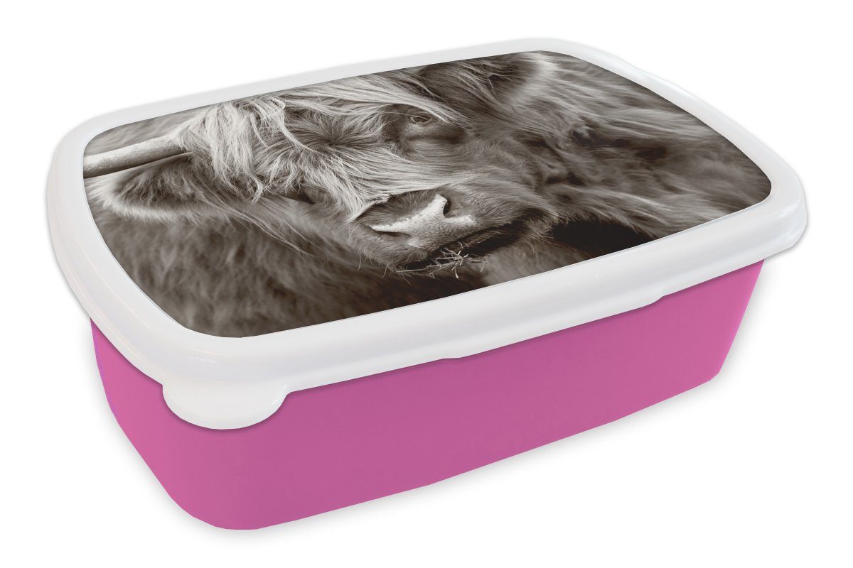 MuchoWow Lunchbox Schottischer Highlander - Schwarz - Weiß - Hörner, Kunststoff, (2-tlg), Brotbox für Erwachsene, Brotdose Kinder, Snackbox, Mädchen, Kunststoff rosa