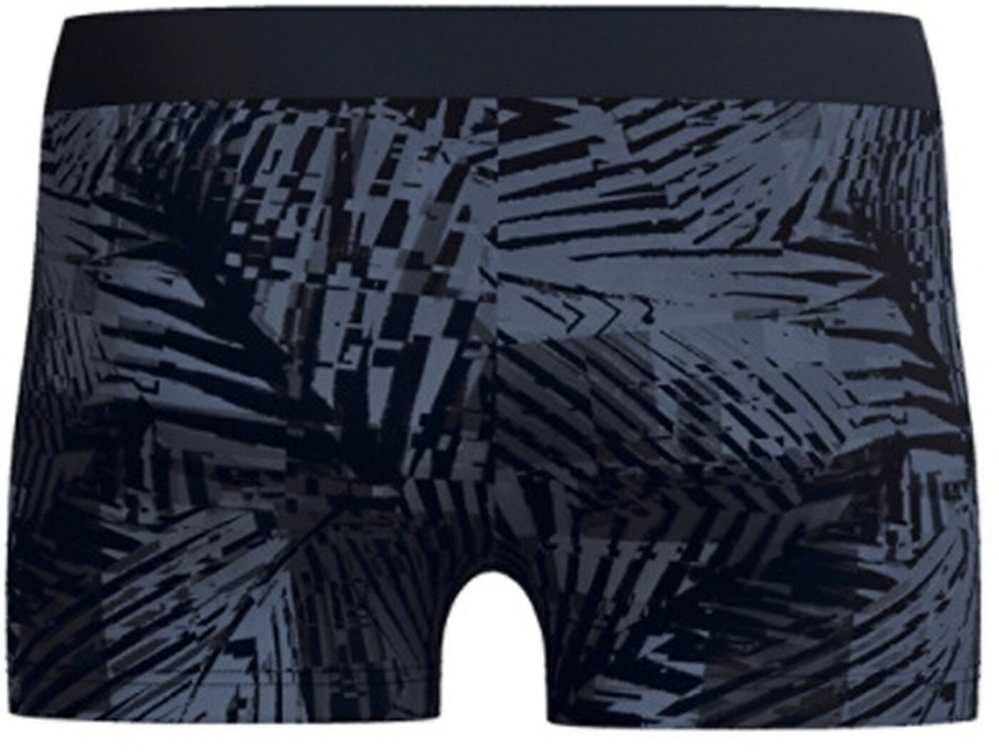 Speedo Badeshorts Mens Valmilton Aquashort MONUMENT günstig online kaufen
