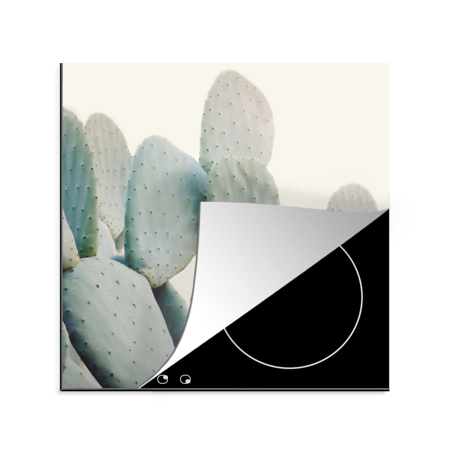 MuchoWow Herdblende-/Abdeckplatte Pflanze - Grün - Kaktus - Natur, Vinyl, (1 tlg), 78x78 cm, Ceranfeldabdeckung, Arbeitsplatte für küche
