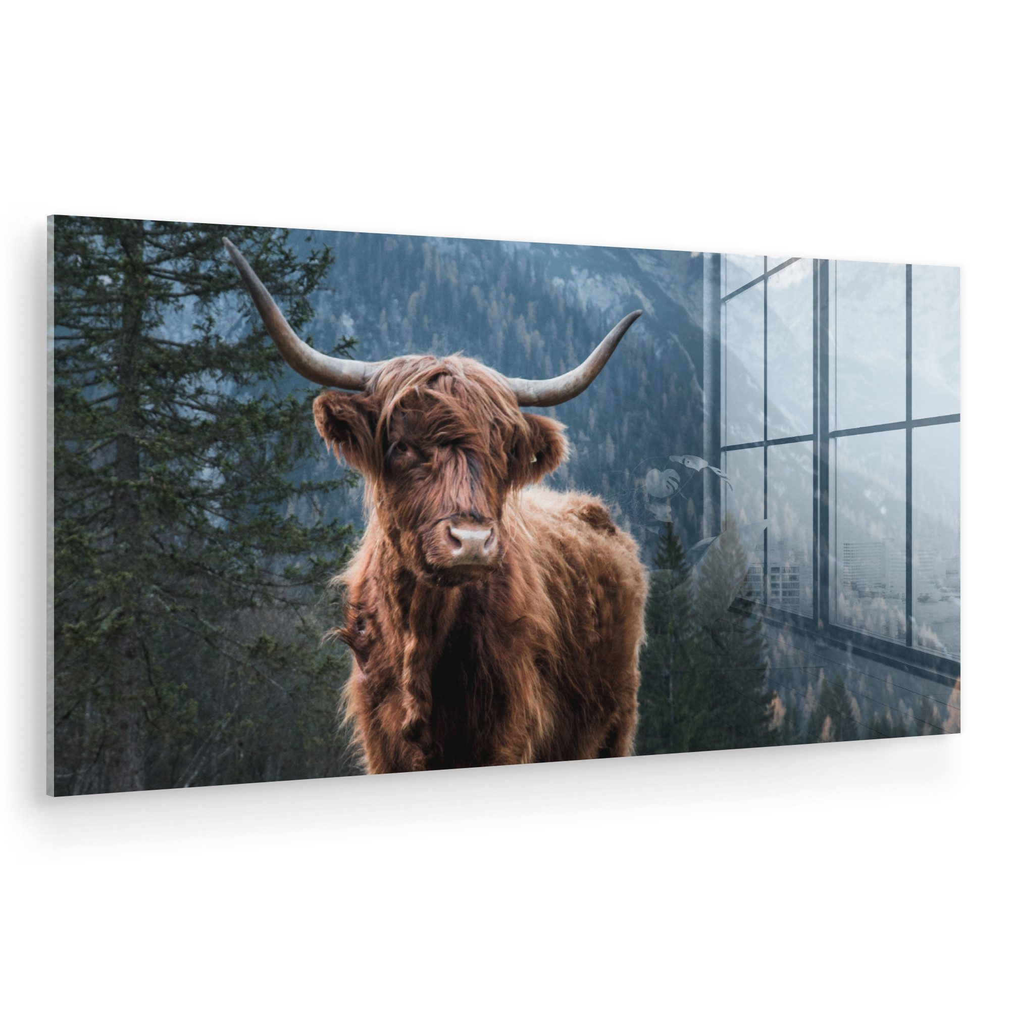 MuchoWow Acrylglasbild Schottische Highlander - Berg günstig online kaufen