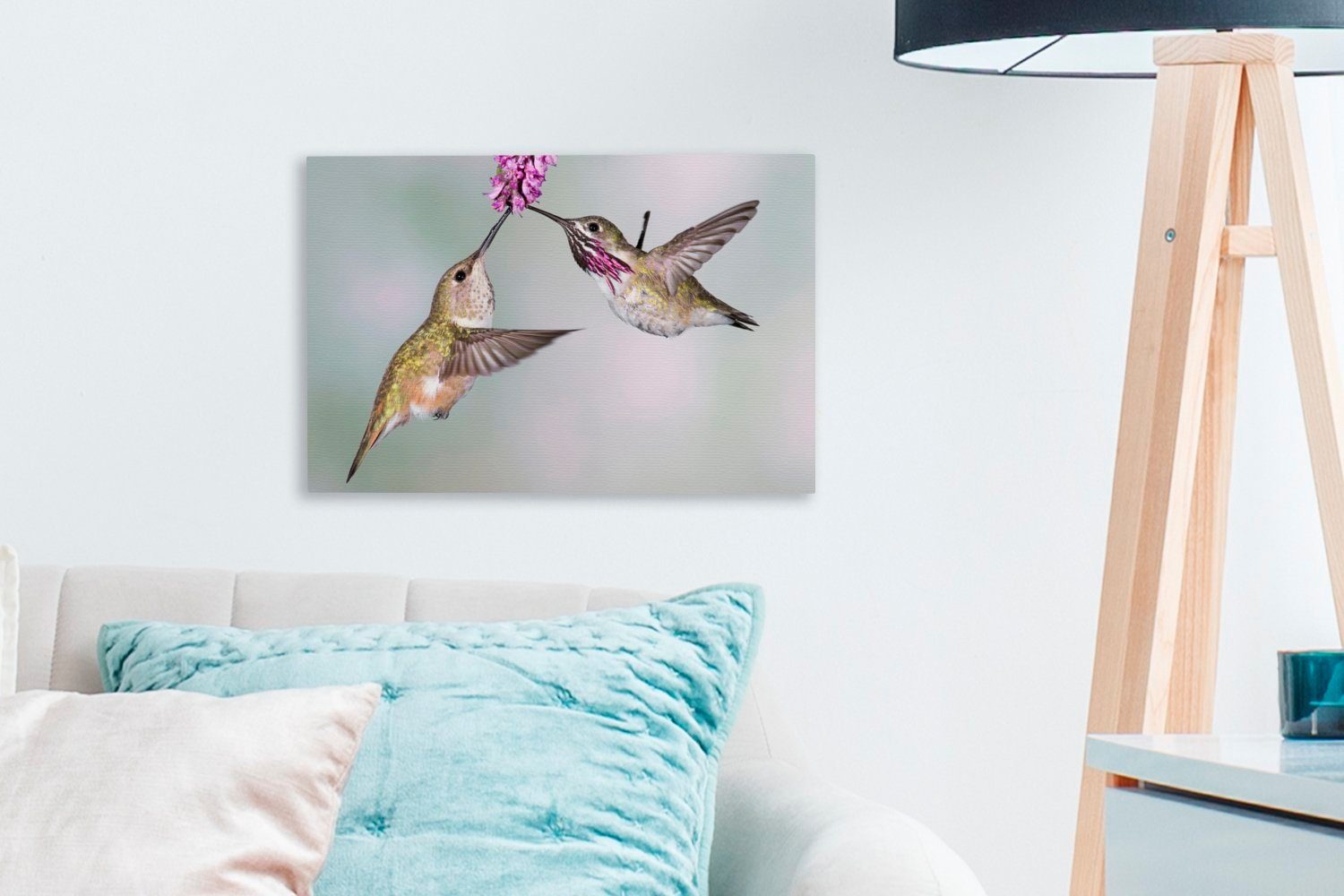 OneMillionCanvasses® Leinwandbild Kolibri Pflanze, Aufhängefertig, Vögel Wandbild cm Wanddeko, Leinwandbilder, - St), (1 30x20 