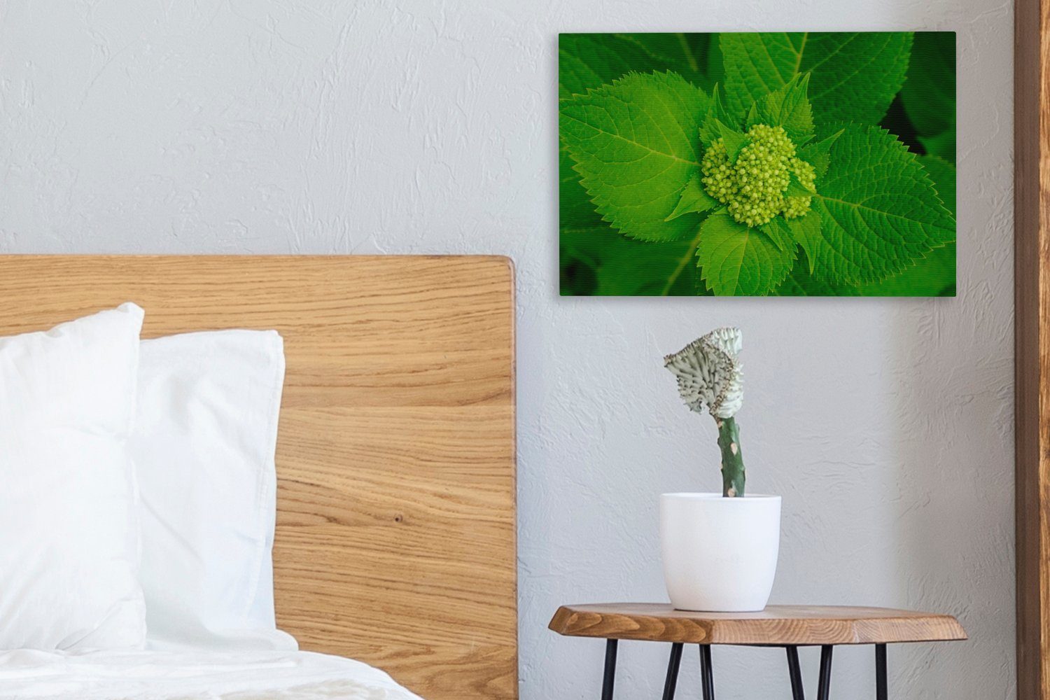 Wandbild botanischen Wanddeko, Leinwandbilder, OneMillionCanvasses® Foto Aufhängefertig, Hortensienpflanze, (1 Leinwandbild 30x20 St), der cm