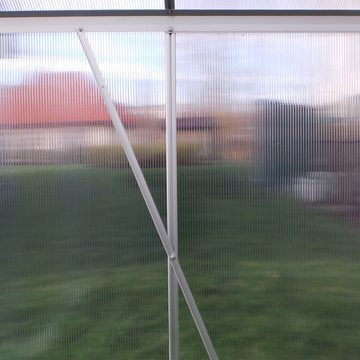 Plantiflex Gewächshaus mit Fundament, BxTxH: 250 x 190 x 205,00 cm, 6.00 mm Wandstärke, Aluminium - Garten Pflanzenhaus, Alu Treibhaus Tomatenhaus, inkl. Dachfenster