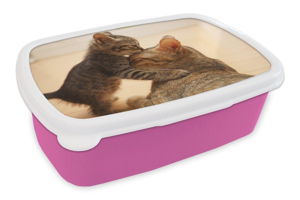 MuchoWow Lunchbox Ein Kätzchen mit seiner Mutter, Kunststoff, (2-tlg), Brotbox für Erwachsene, Brotdose Kinder, Snackbox, Mädchen, Kunststoff rosa | Lunchboxen