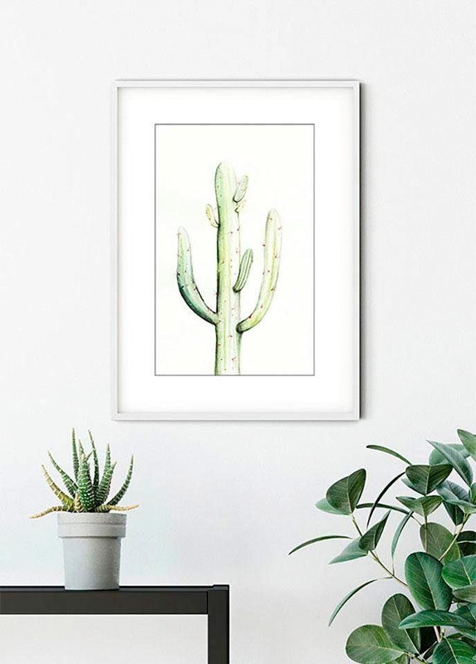 Blätter, Schlafzimmer, Kinderzimmer, Watercolor, St), Wohnzimmer Pflanzen Saguaro Komar (1 Poster