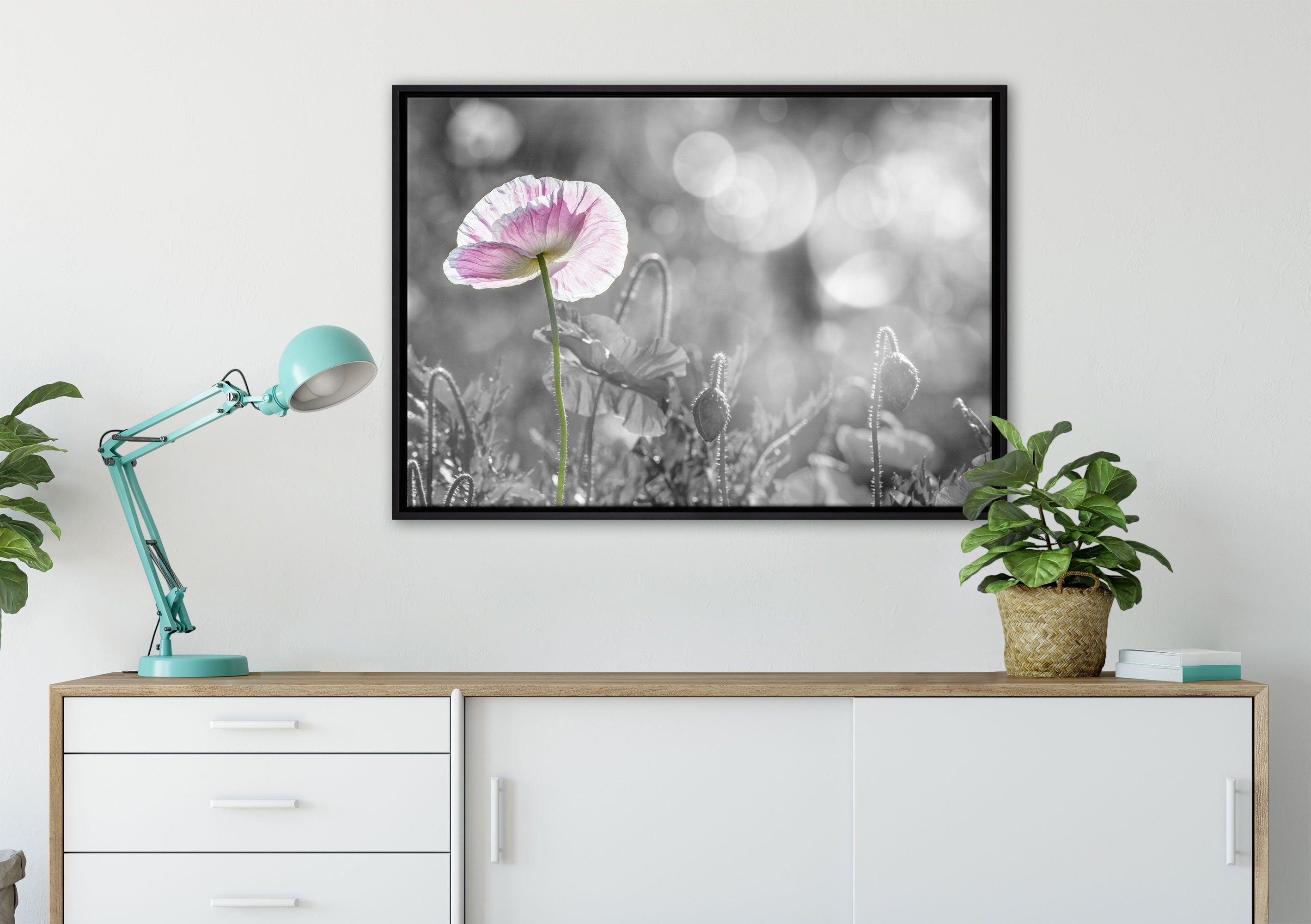 Zackenaufhänger St), Kalifornischer fertig Mohn in Leinwandbild Schattenfugen-Bilderrahmen Leinwandbild (1 gefasst, Pixxprint inkl. Frühling, im Wanddekoration bespannt, einem