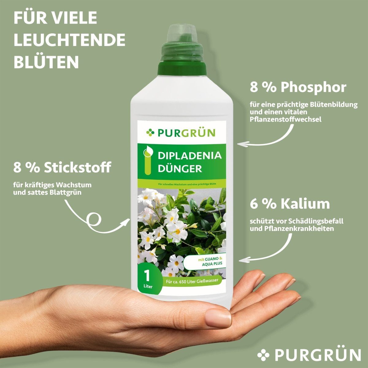 Purgrün Blumendünger Purgrün Dipladenia Dünger, NPK günstig online kaufen