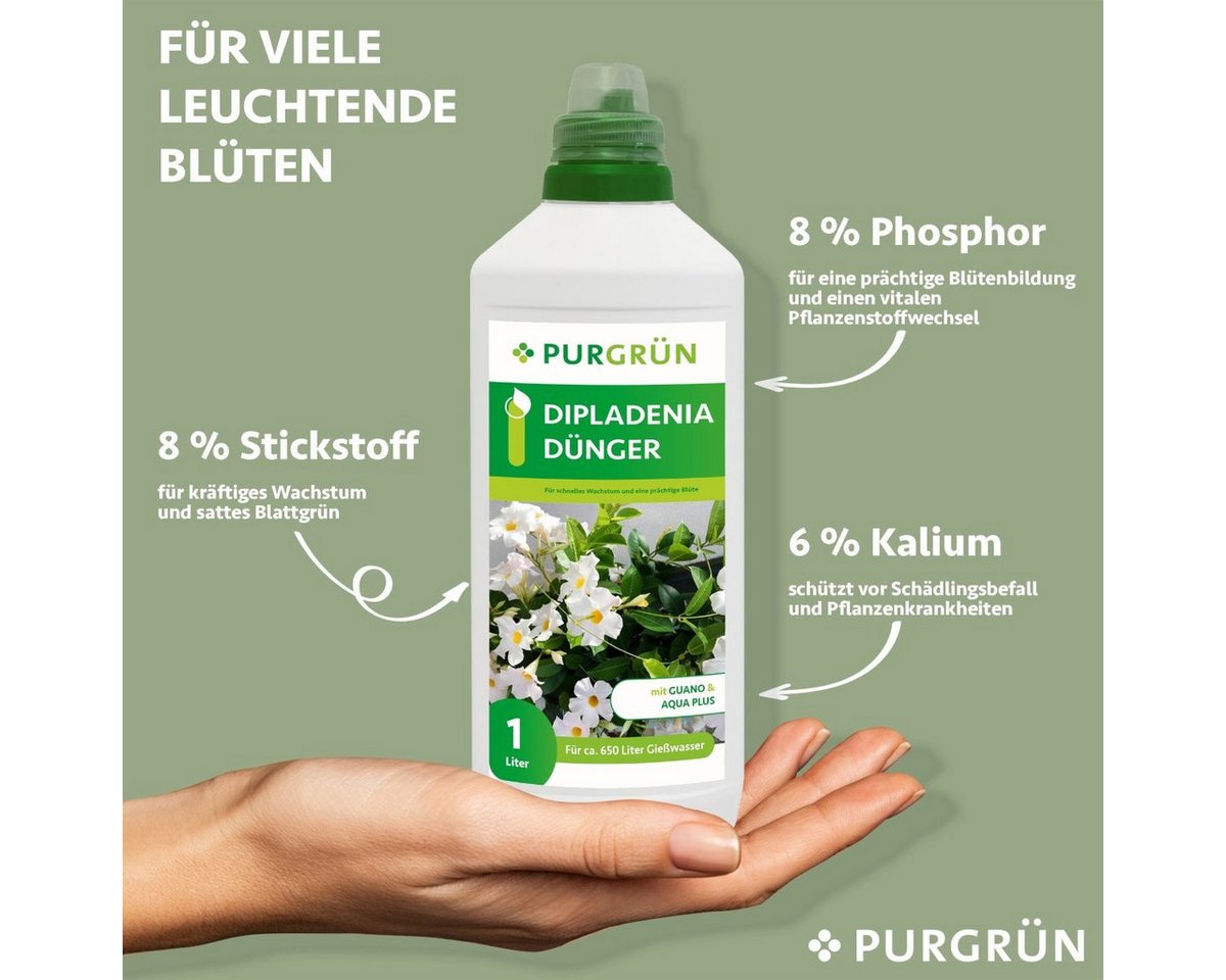 Thumbnail - Purgrün Blumendünger Purgrün Dipladenia Dünger, NPK 8+8+6, Guano & Aqua Plus, 1L, Flüssigdünger, Fördert die Wasseraufna...