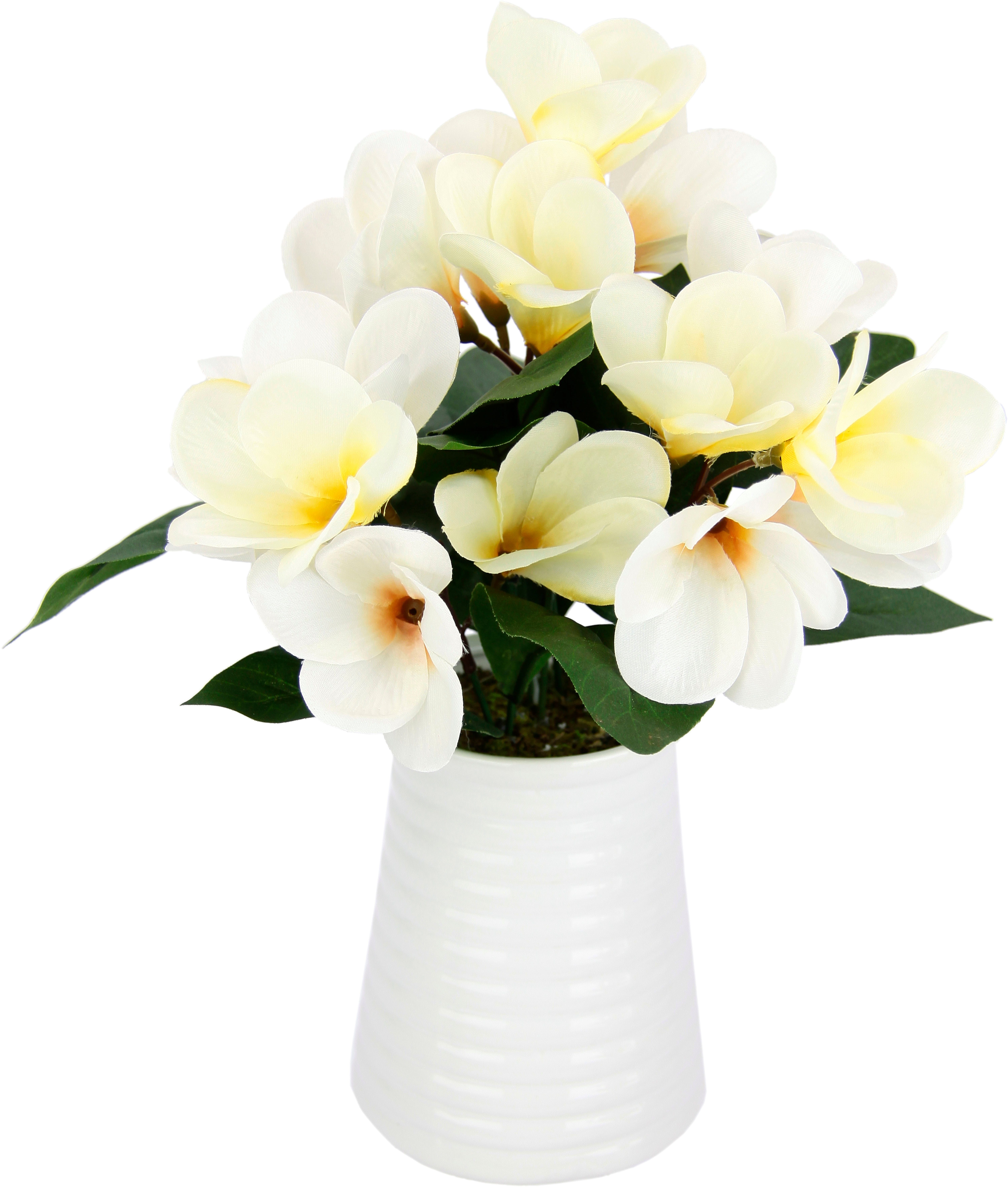 Kunstblume Frangipani in Vase aus Keramik, günstig online kaufen