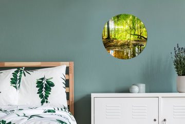 MuchoWow Gemälde Wald - Landschaft - Wasser - Bäume - Sonne - Grün - Natur, (1 St), Kreis Wanddekoration Forex, Rundes Wandbild, Wohnzimmer, 30x30 cm