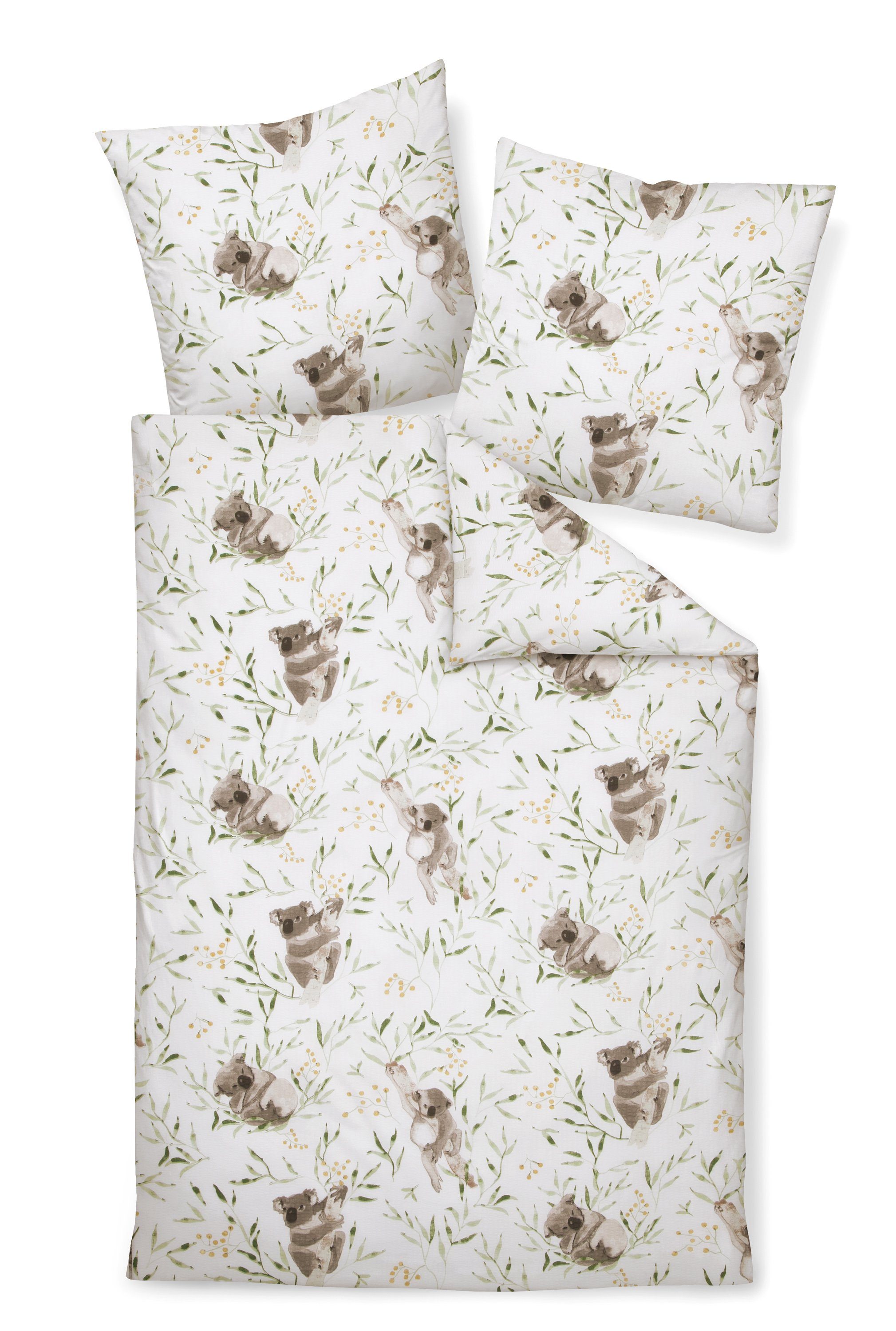 Traumschloss Bettwäsche Deluxe Premium, Seersucker, 2 teilig, Koalas, grün, taupe, weißer Hintergrund