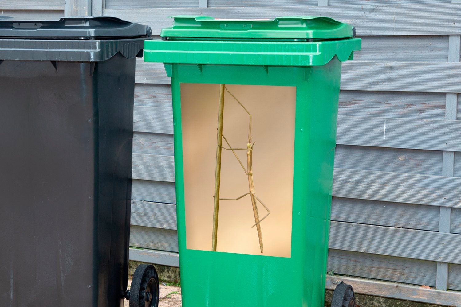 MuchoWow Wandsticker auf sitzt (1 Sticker, Mülltonne, Mülleimer-aufkleber, St), Container, Grashalm Eine Abfalbehälter Stabheuschrecke einem