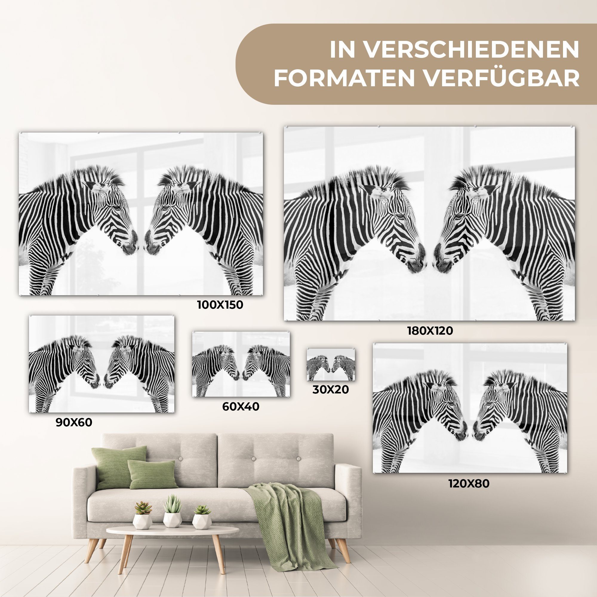 weißem Hintergrund, Schlafzimmer MuchoWow auf Gespiegeltes St), (1 Wohnzimmer Acrylglasbilder & Acrylglasbild Zebra