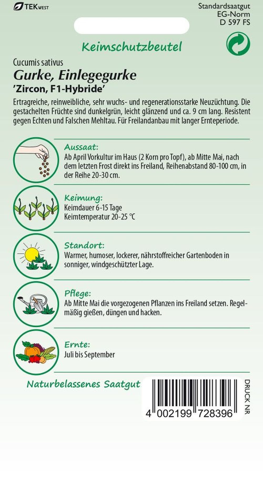 SAMEN PFANN Gemüsesamen Einlegegurke, Zircon F1 - Saatgut Samen, Cucumis sativus, var. Zircon F1