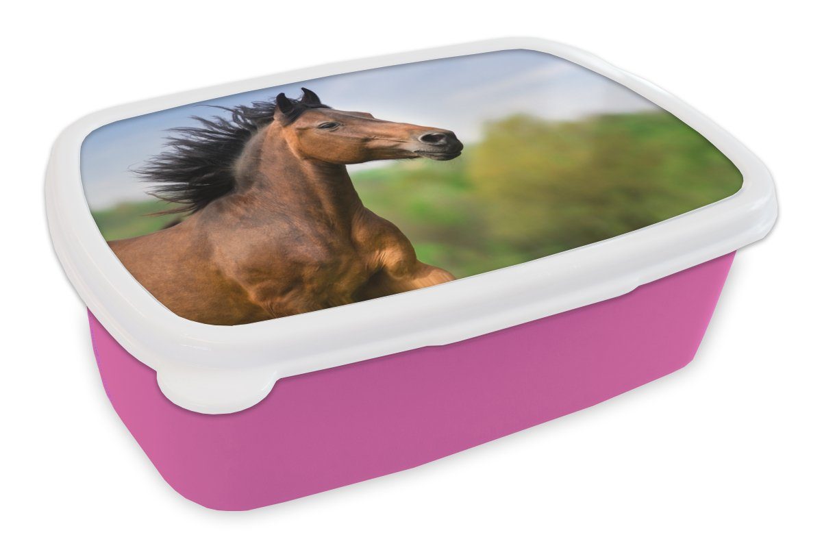 MuchoWow Lunchbox Pferd - Tier - Mähne - Braun, Kunststoff, (2-tlg), Brotbox für Erwachsene, Brotdose Kinder, Snackbox, Mädchen, Kunststoff rosa