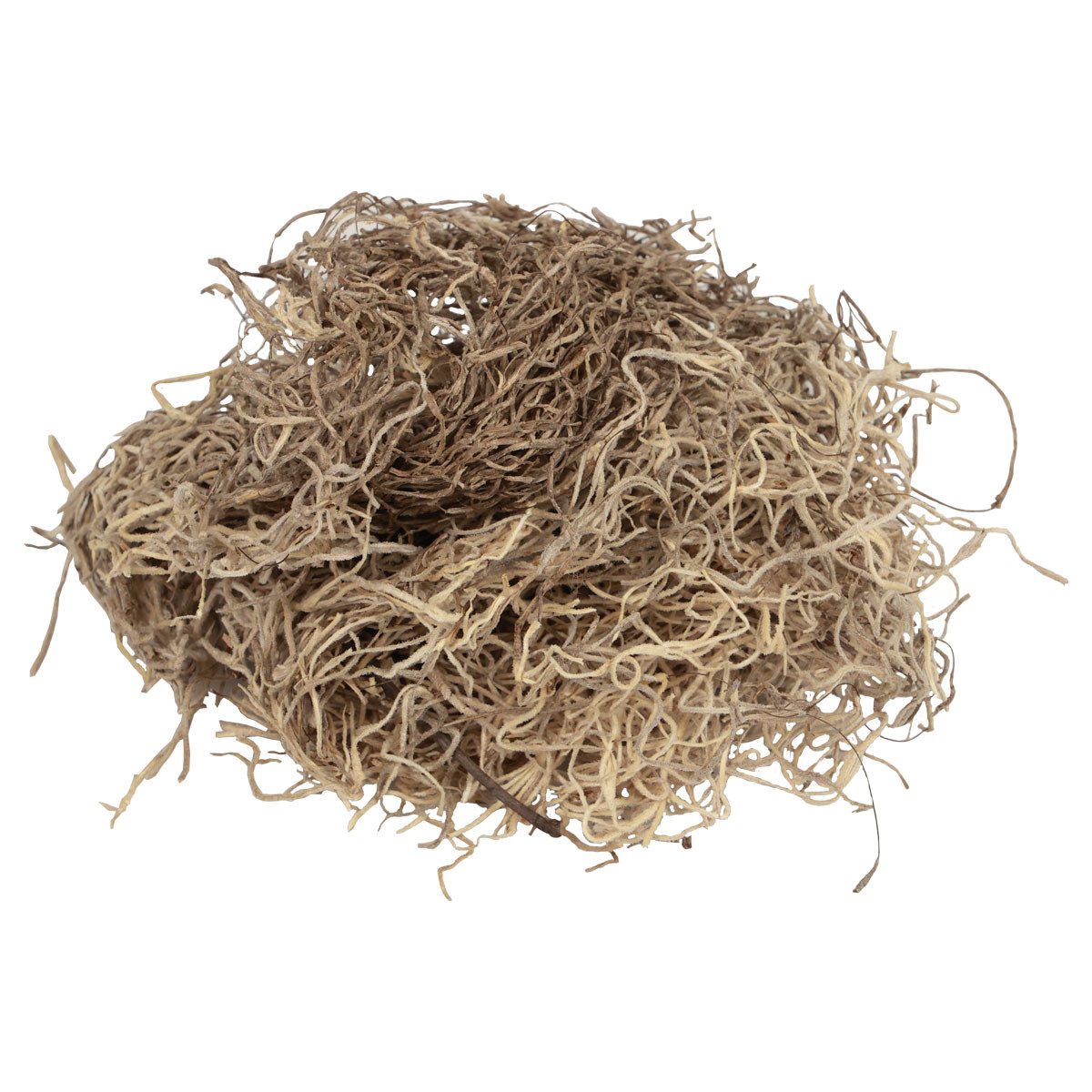 Bastelmoos Deko Moos getrocknet Waldmoos Naturbraun 300g - Herbstdeko