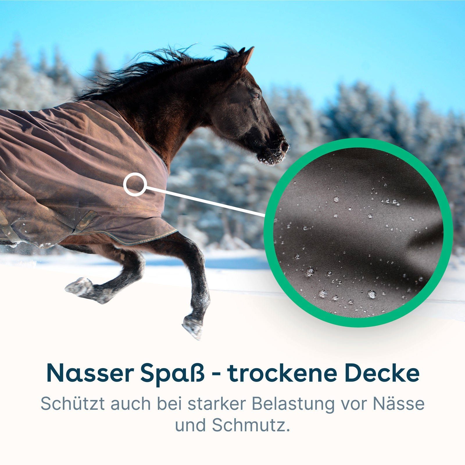 eco:fy Pferdedecken-Imprägnierspray Imprägnierspray (1 St), Starker Schutz vor Wasser, Fett und Schmutz