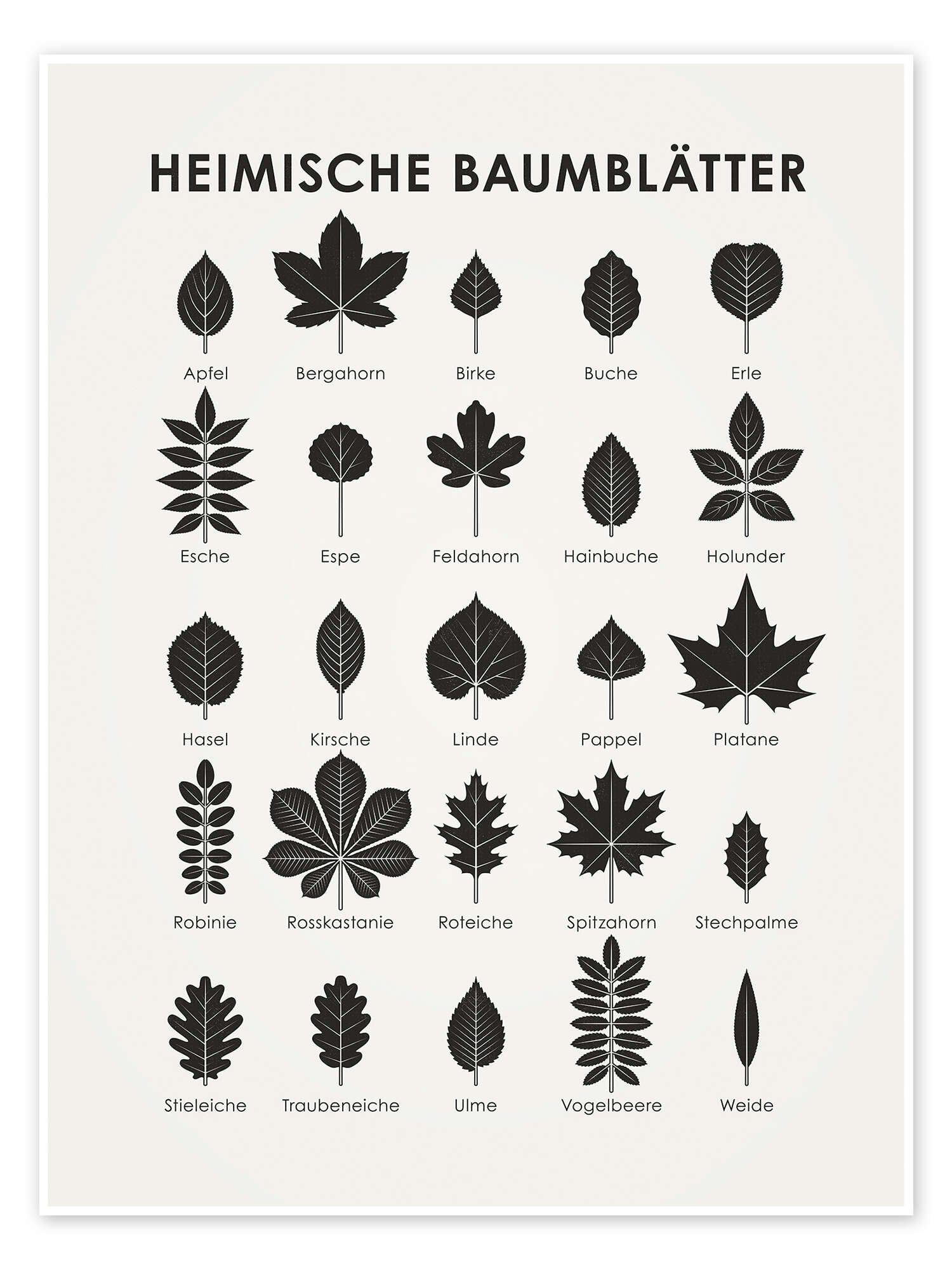 Posterlounge Poster Iris Luckhaus, Heimische Baumblätter, Kindergarten Skandinavisch Kindermotive