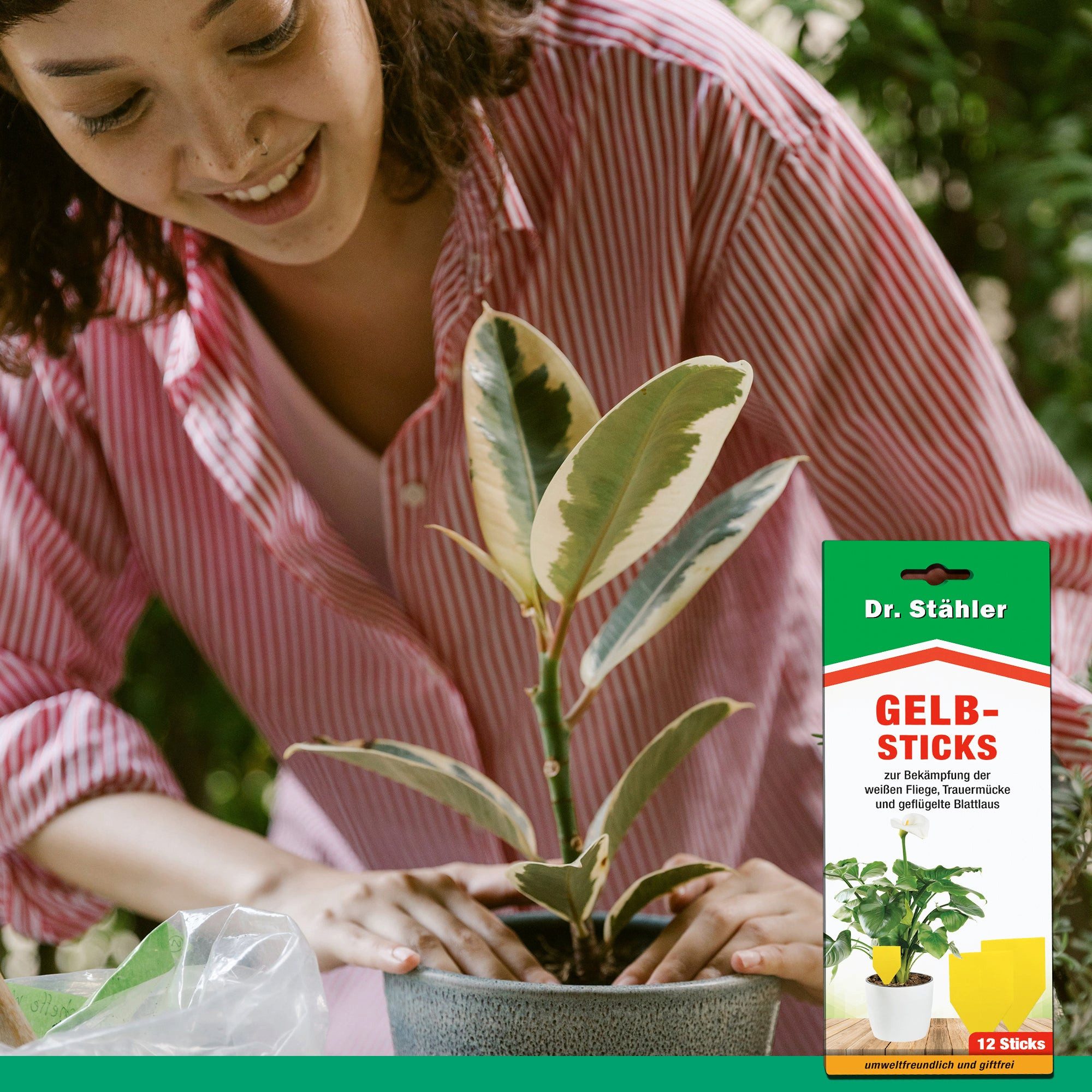 Silberkraft Insektenfalle Effektive Gelb...