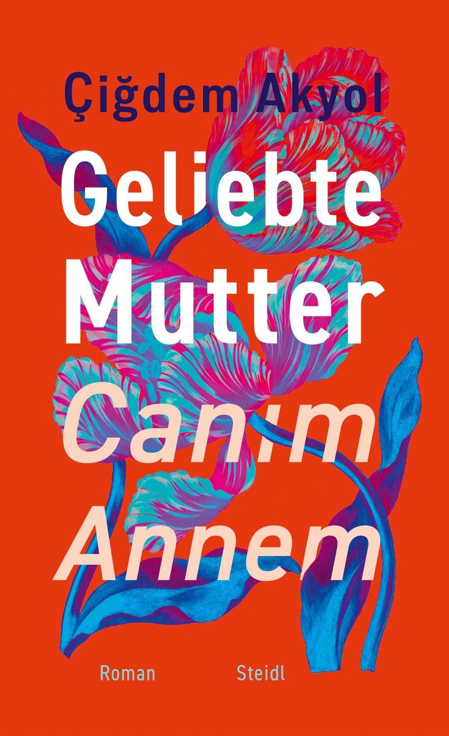 Belletristik Geliebte Mutter – Canım Annem Çiğdem Akyol