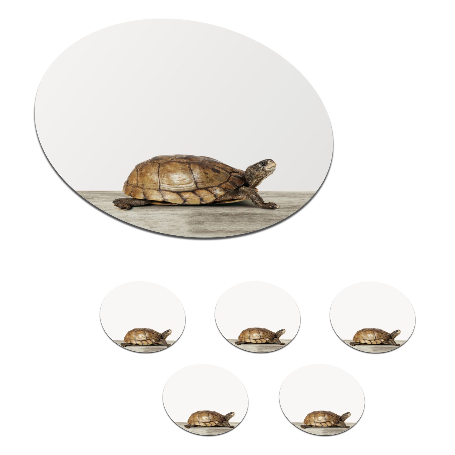 MuchoWow Glasuntersetzer Tiere - Schildkröte - Weiß, Zubehör für Gläser, 6-tlg., Getränkeuntersetzer, Tassenuntersetzer, Korkuntersetzer, Tasse, Becher
