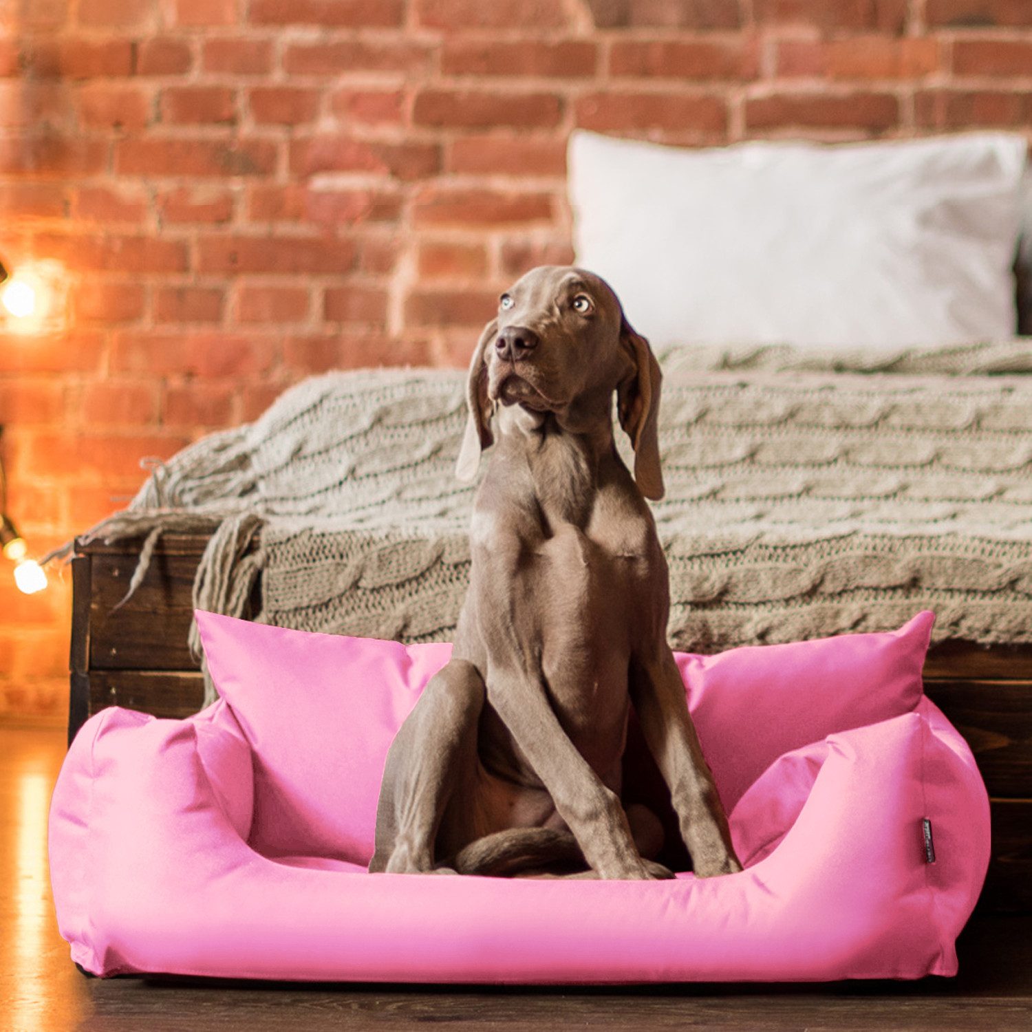 Thumbnail - tierlando® Tierbett NEMO Hundebett Hundesofa S M L Hundekorb